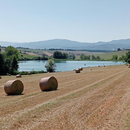 Il Marrondindo Bed & Breakfast Galliano Kültér fotó