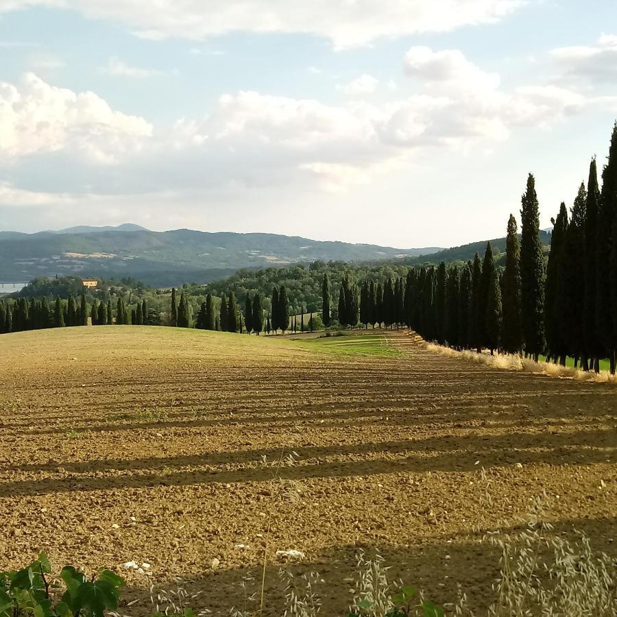 Il Marrondindo Bed & Breakfast Galliano Kültér fotó